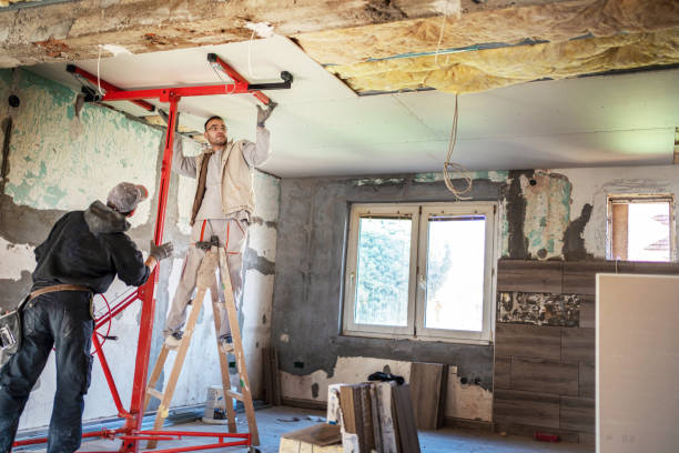 Best Insulation Removal  in Mullins, SC
