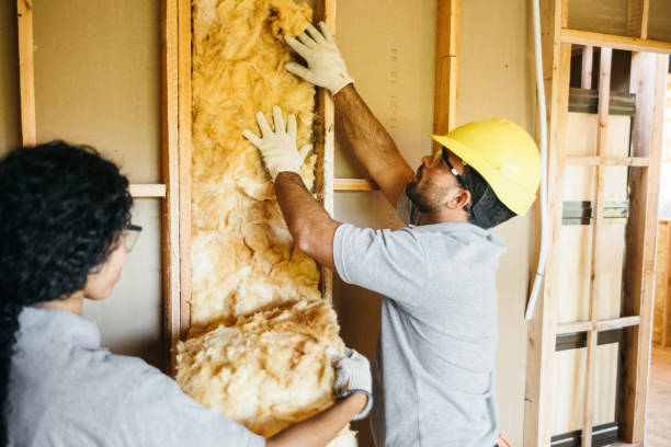 Best Blown-in Insulation  in Mullins, SC