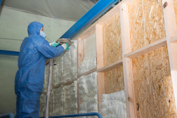 Best Residential Insulation Services  in Mullins, SC