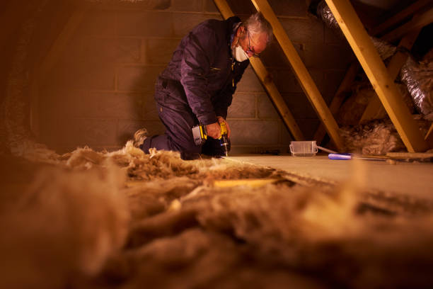 Best Best Insulation Companies  in Mullins, SC